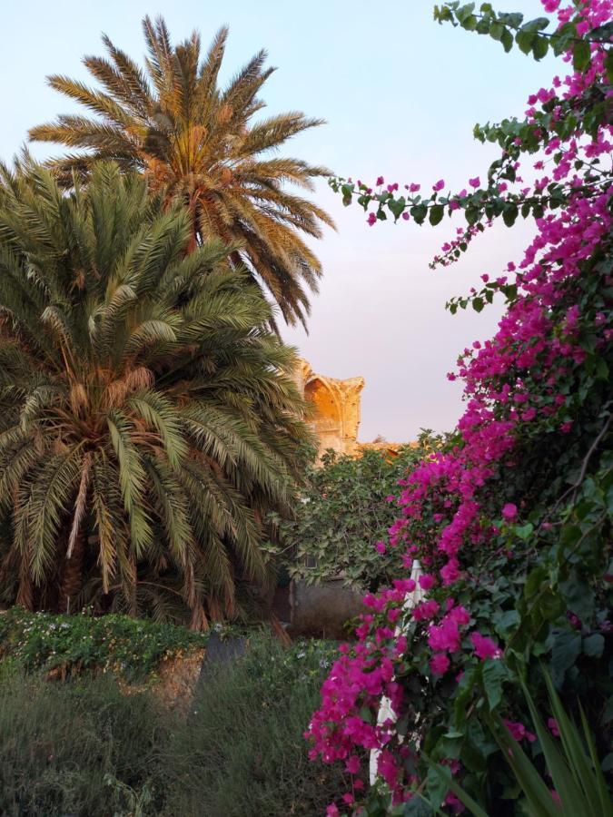 Golden Palms Guest House & Cafe فاماغوستا المظهر الخارجي الصورة