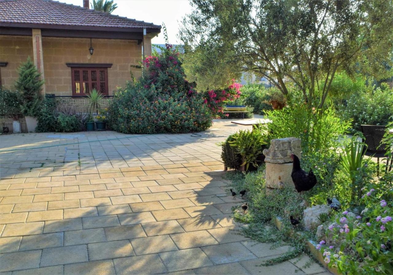 Golden Palms Guest House & Cafe فاماغوستا المظهر الخارجي الصورة
